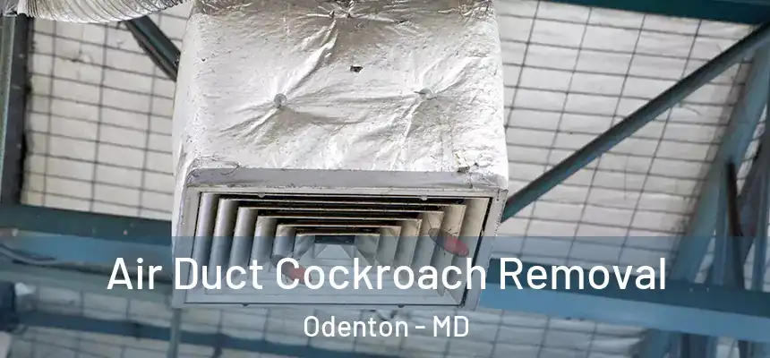  Air Duct Cockroach Removal Odenton - MD