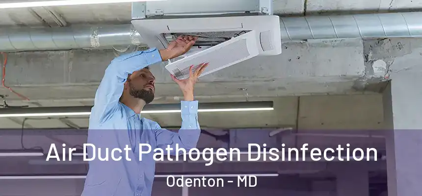 Air Duct Pathogen Disinfection Odenton - MD