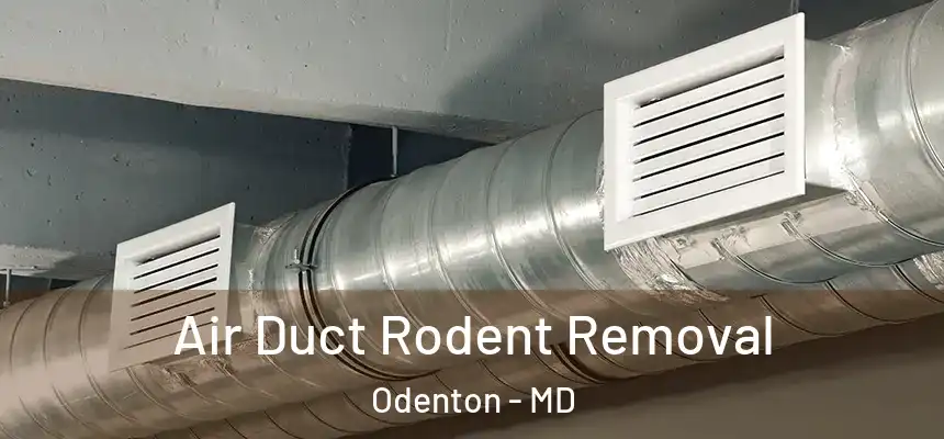  Air Duct Rodent Removal Odenton - MD