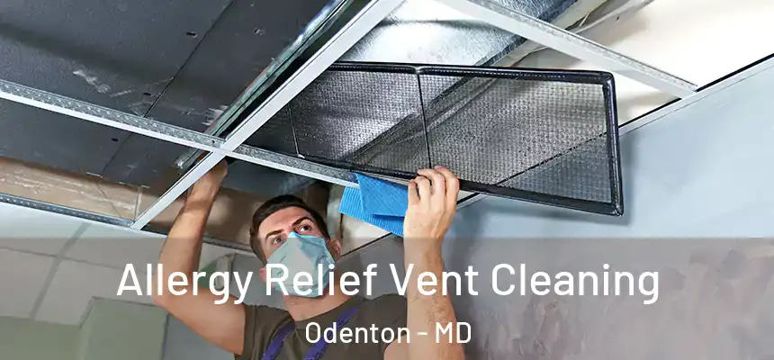  Allergy Relief Vent Cleaning Odenton - MD