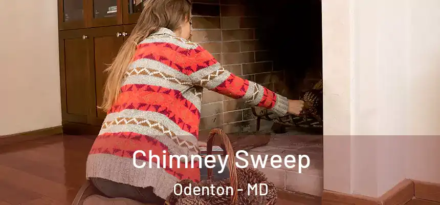  Chimney Sweep Odenton - MD