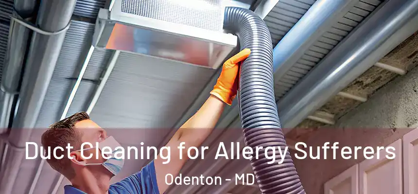  Duct Cleaning for Allergy Sufferers Odenton - MD