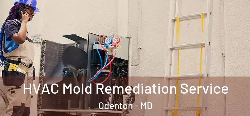  HVAC Mold Remediation Service Odenton - MD