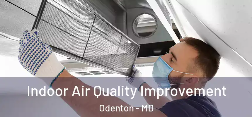  Indoor Air Quality Improvement Odenton - MD