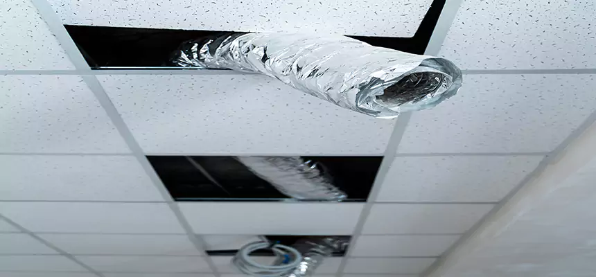 Affordable HVAC Sanitizing After Pest Removal in Odenton