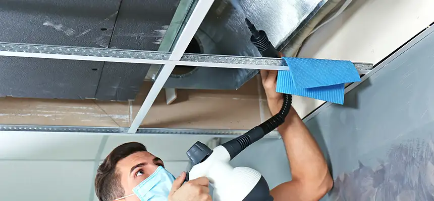 Our Air Duct Rodent Removal Services in Odenton, MD
