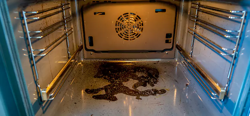 Our Dryer Vent Mold Cleaning Services in Odenton, MD