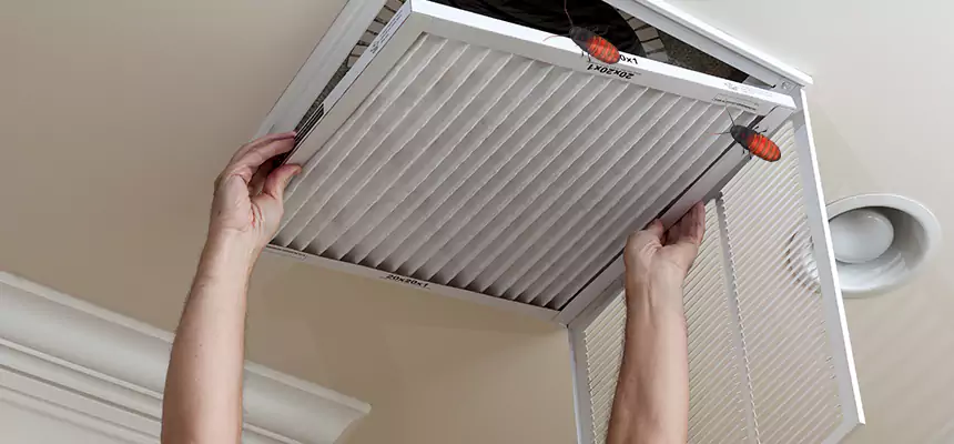 Our Insect Removal from Air Ducts Services in Odenton, MD