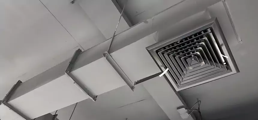 Our Rodent Droppings In Vents Services in Odenton, MD