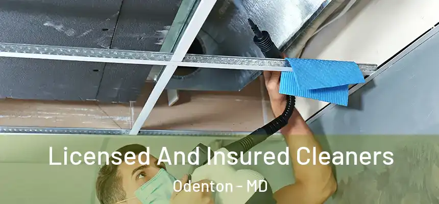 Licensed And Insured Cleaners Odenton - MD