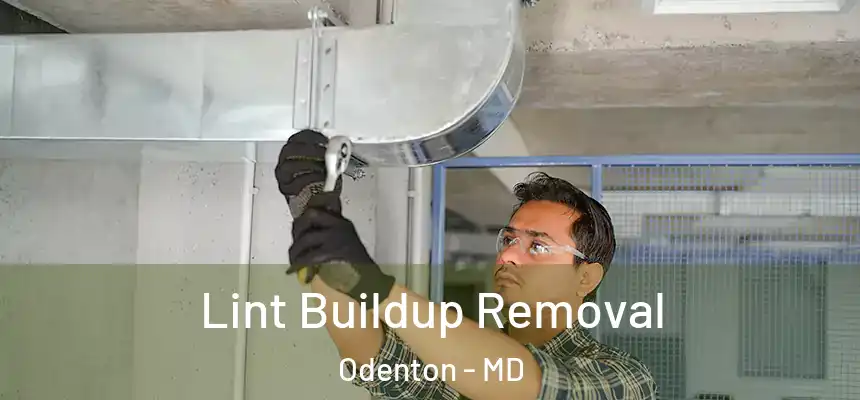 Lint Buildup Removal Odenton - MD