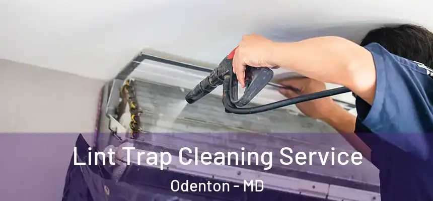  Lint Trap Cleaning Service Odenton - MD