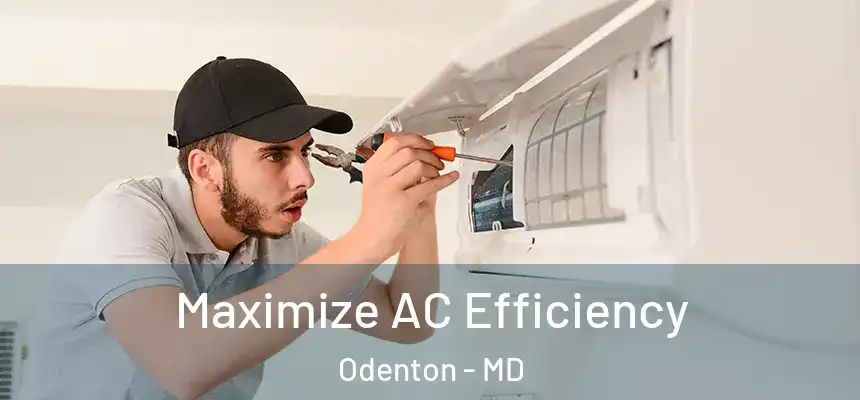 Maximize AC Efficiency Odenton - MD