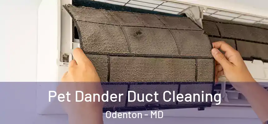 Pet Dander Duct Cleaning Odenton - MD