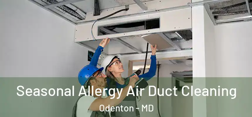  Seasonal Allergy Air Duct Cleaning Odenton - MD