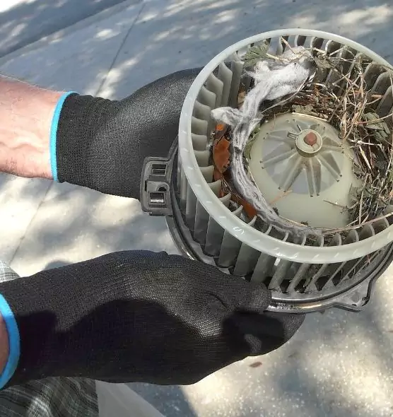 About Air Duct Mice Removal in Odenton, MD