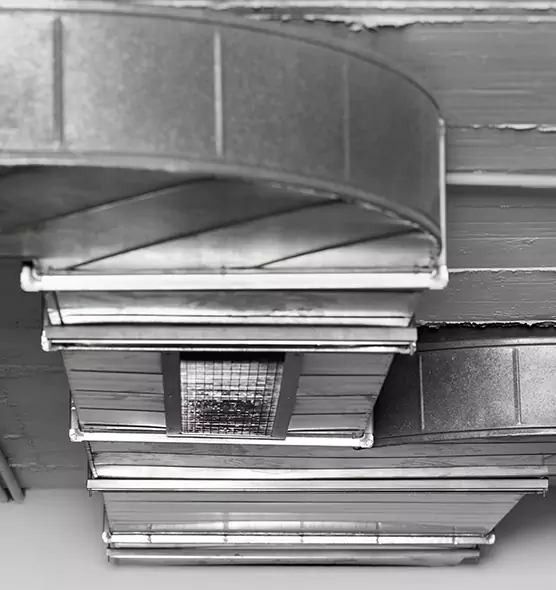 Professional Air Duct Pest Removal in Odenton, MD