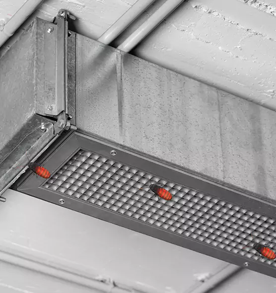 Affordable Insect Removal from Air Ducts in Odenton, MD