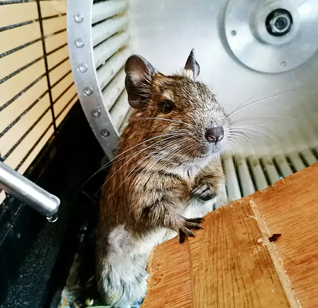 Why Homeowners & Businesses Trust Us Odenton, MD