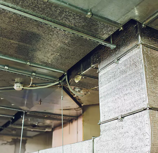 Why Homeowners & Businesses Trust Us in Odenton, MD?