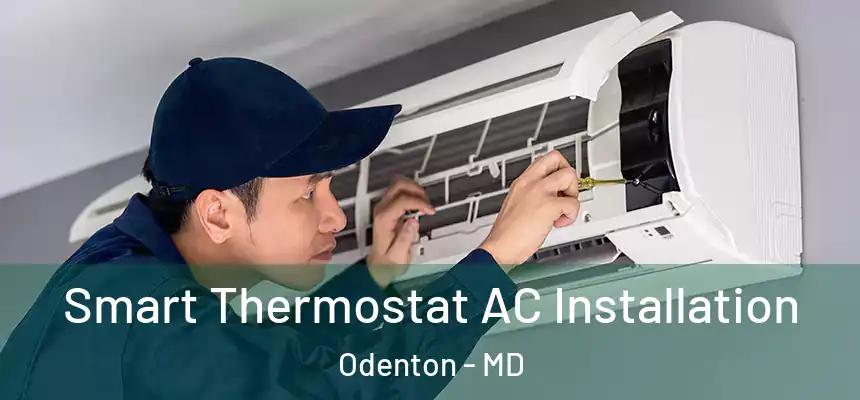  Smart Thermostat AC Installation Odenton - MD