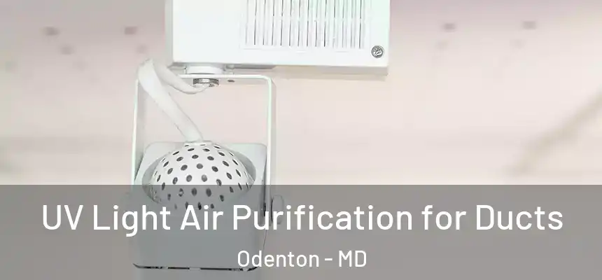  UV Light Air Purification for Ducts Odenton - MD